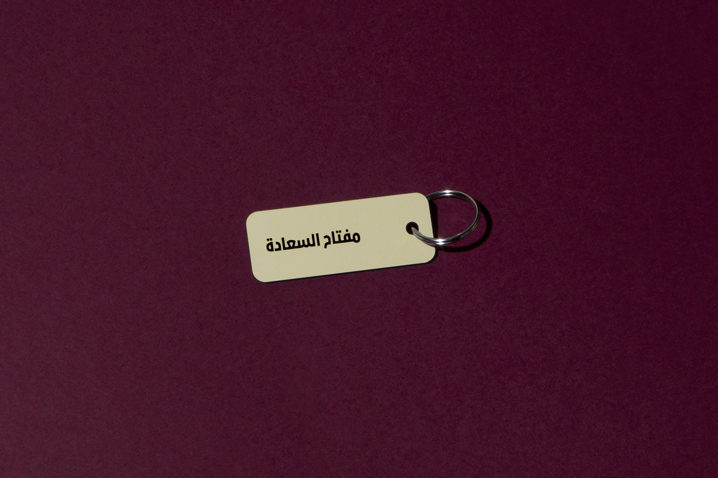 Key tag V01